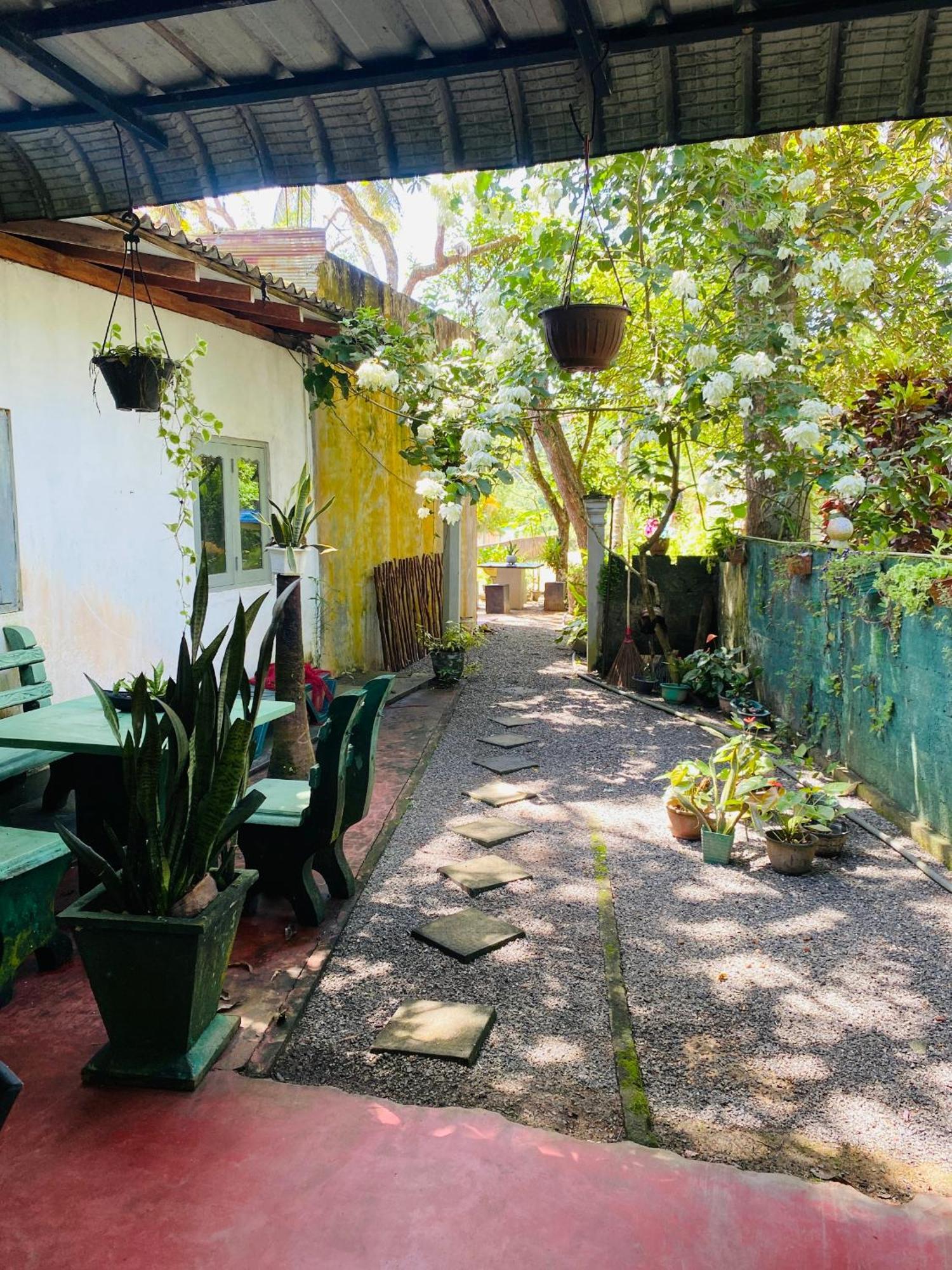 Little Mount Guest House Mirissa Zewnętrze zdjęcie
